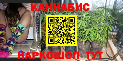 крисы Малгобек