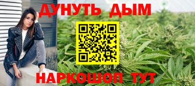 крисы Малгобек