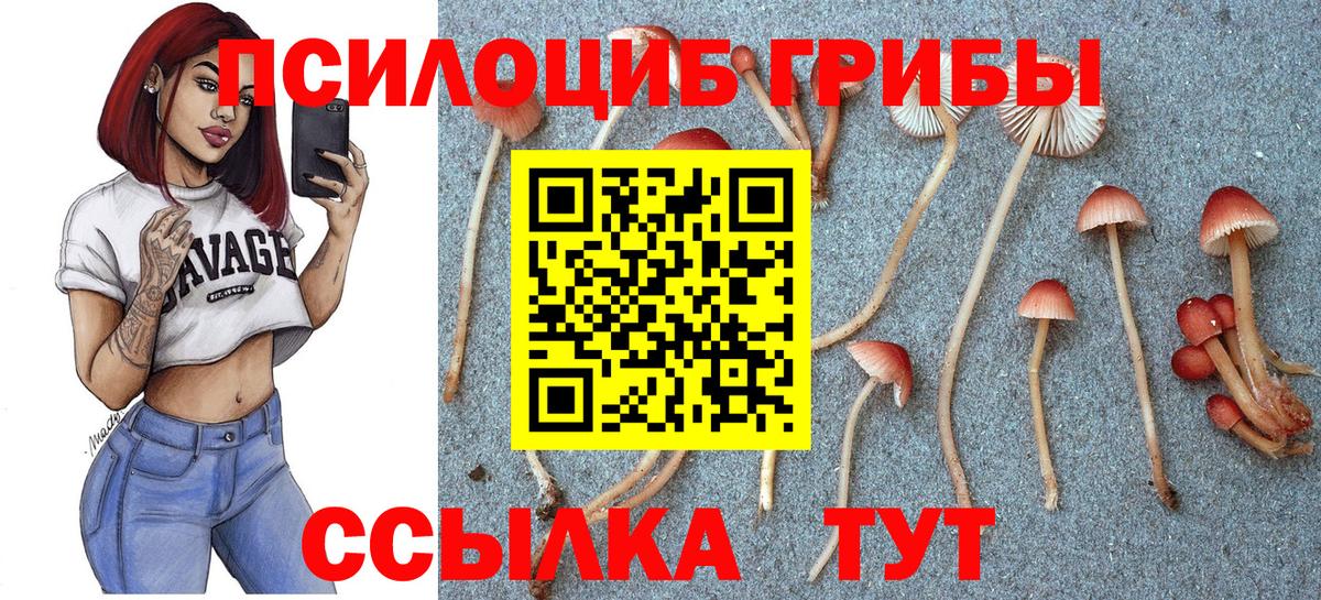 Псилоцибиновые грибы MAGIC MUSHROOMS Верхний Уфалей