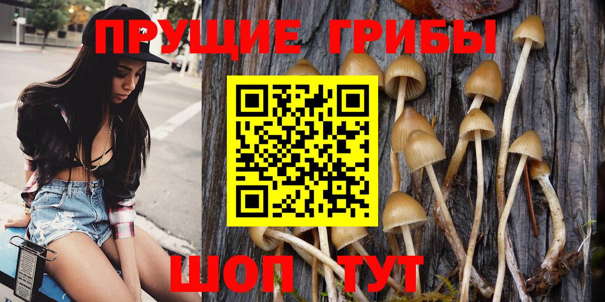 продажа наркотиков  Вход с VPN  Верхний Уфалей  Псилоцибиновые грибы Magic Shrooms 
